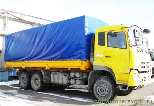 dongfeng 63197